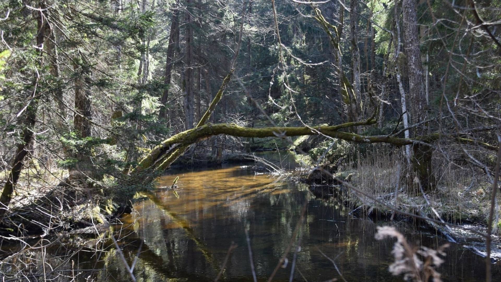 Peršokšnas izglītības taka